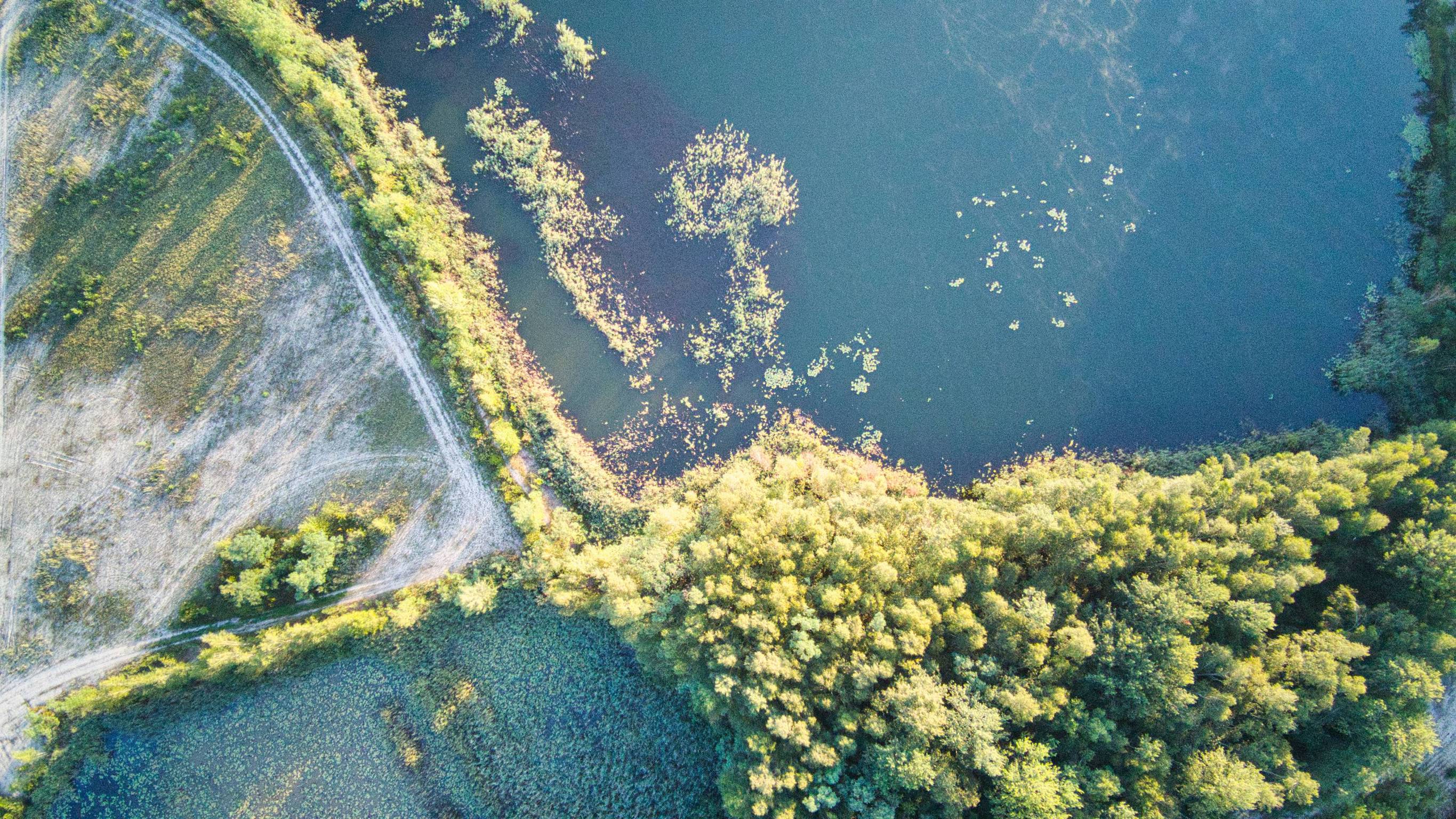 Luftaufnahme Uferbereich Silbersee